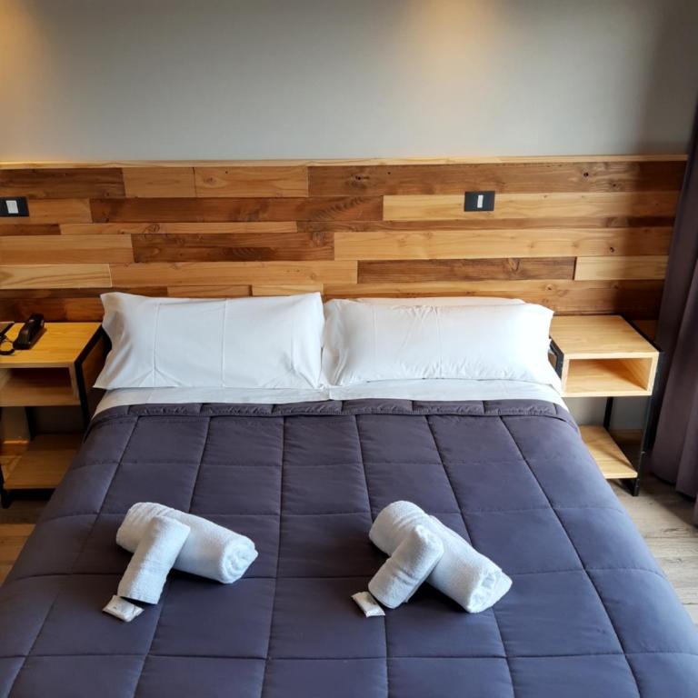 Hotel Eco Max - Habitación Doble Estándar - 9
