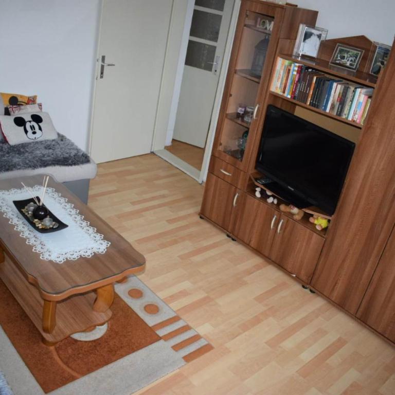 Apartmani Šarac - Pale - Apartment - 11