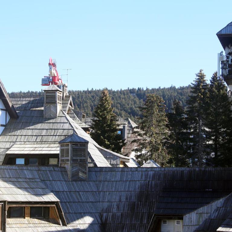 Superior Woodside Residences & Spa Kopaonik - Deluxe Apartment - 34