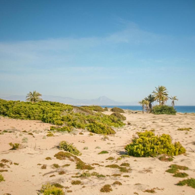 Cozy Apartment In Santa Pola With Wifi - Apartamento de 2 dormitorios - 18
