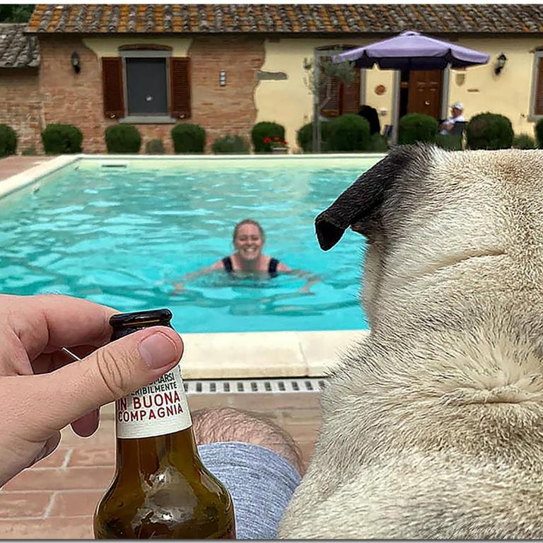 Il Villino di Cortona - Villa - 17