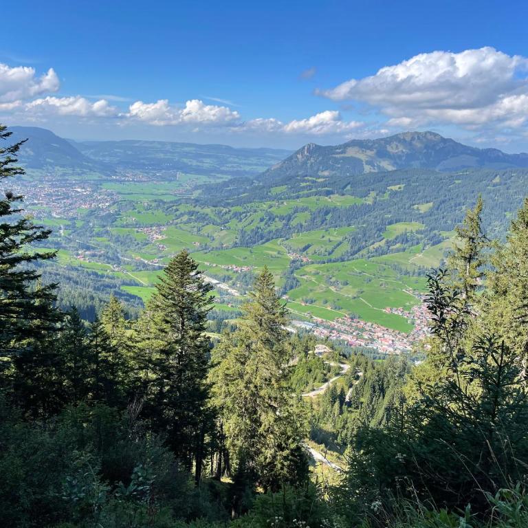 Ferienwohnung Lilli inklusive Bad Hindelang Plus - Apartment mit 1 Schlafzimmer und Terrasse - 11