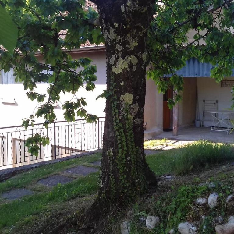 Côté Jardin - Appartement 1 Chambre - 1
