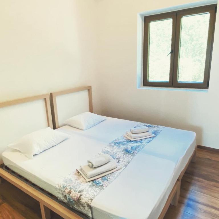 Vila Sofija - Vila - 72