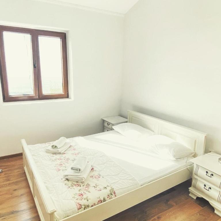 Vila Sofija - Vila - 67