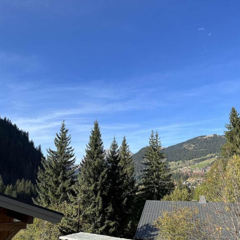 LES FREINETS - Apt D02 - BO Immobilier - Châtel Multipass 2026 en Été offert par votre hôte - Apartamento - 9