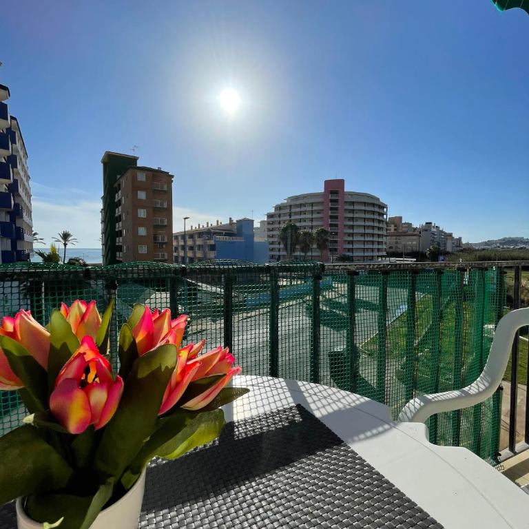 Alpen1 Peñiscola Residencial - One-Bedroom Apartment - 2