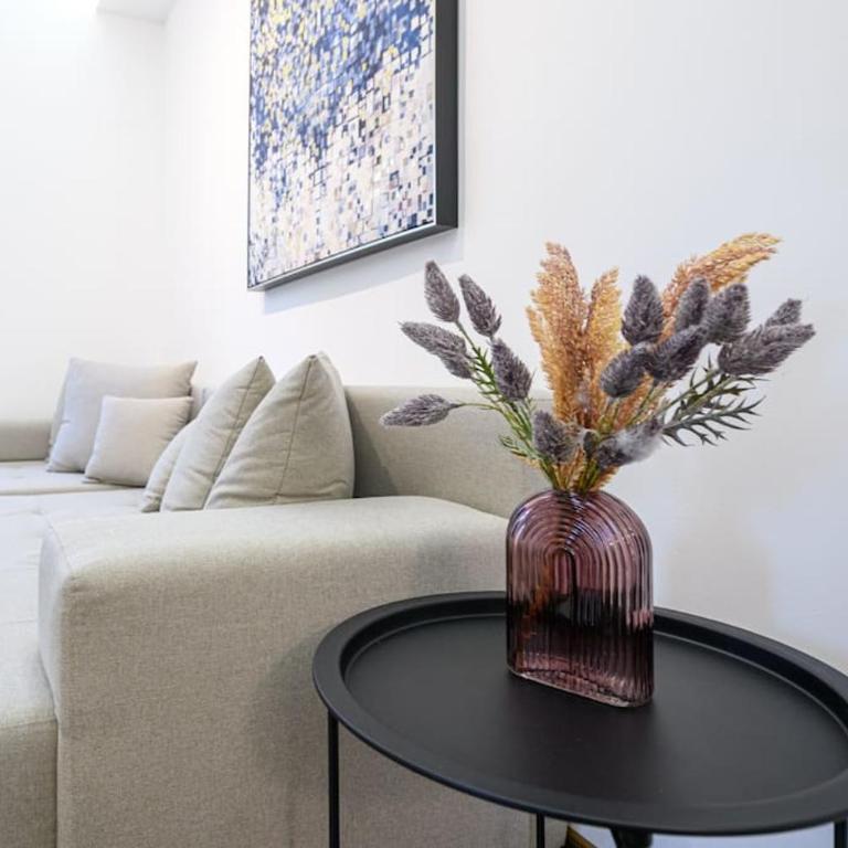 Dedinje apartment - Apartman sa 1 Spavaćom Sobom - 3