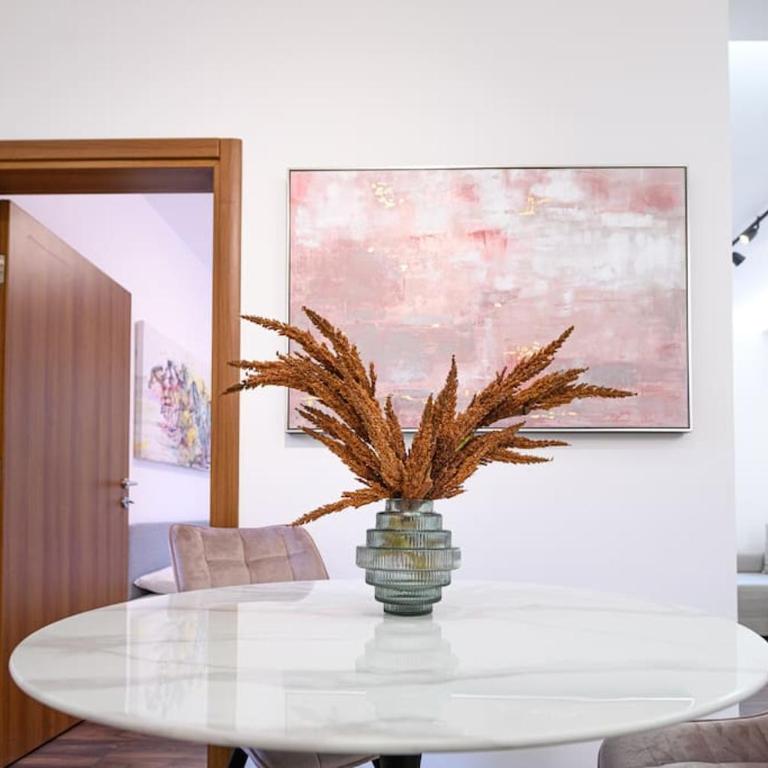 Dedinje apartment - Apartman sa 1 Spavaćom Sobom - 10