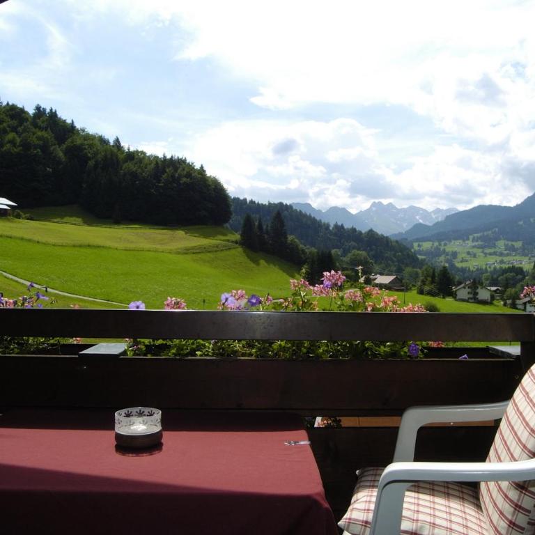 Gschwenderhaus Ferienwohnungen - Superior Apartment mit Balkon - 7