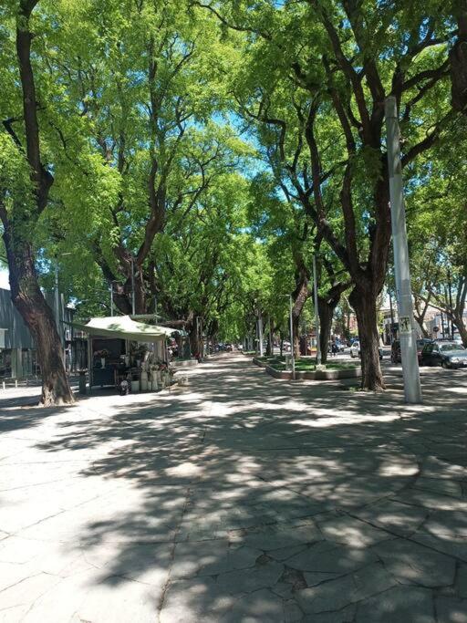 Hermoso Departamento en la Ciudad de Mendoza. - Apartamento de 2 dormitorios - 19
