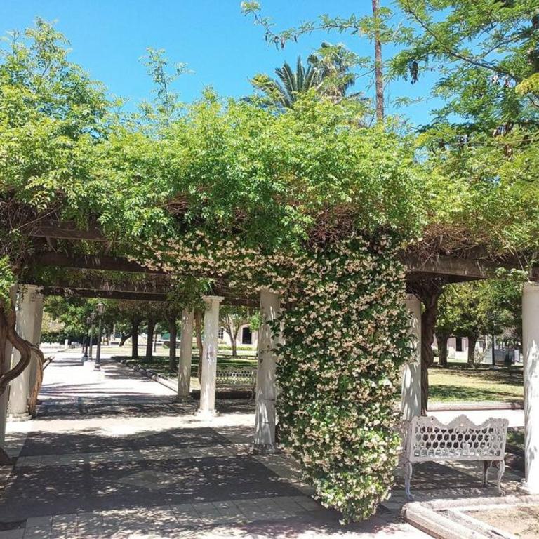 Hermoso Departamento en la Ciudad de Mendoza. - Apartamento de 2 dormitorios - 21