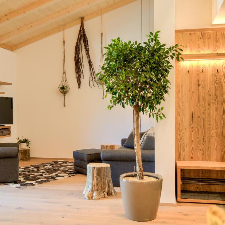 SchartnerAlm - Apartamento con balcón - 4