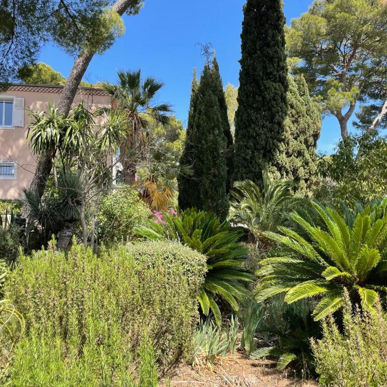 Rez-de-chaussée dans grand jardin provençal, villa Tatiana - One-Bedroom Apartment - 3