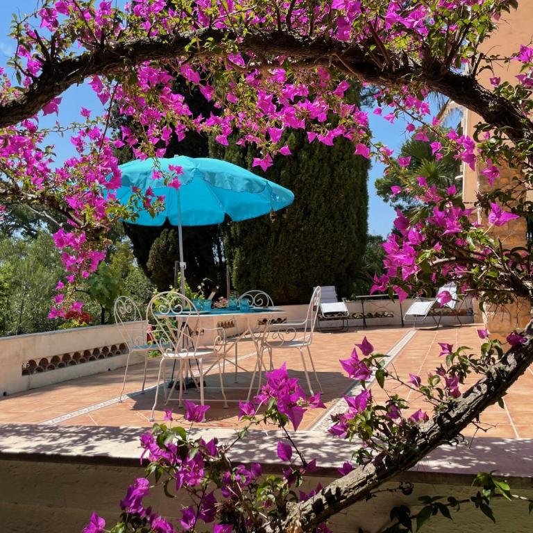 Rez-de-chaussée dans grand jardin provençal, villa Tatiana - One-Bedroom Apartment - 11