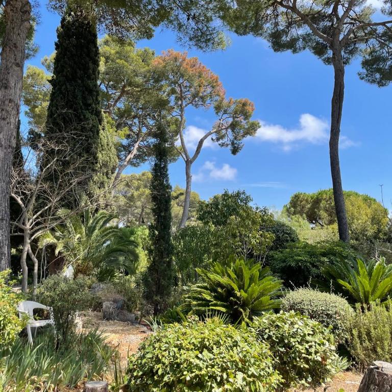 Rez-de-chaussée dans grand jardin provençal, villa Tatiana - One-Bedroom Apartment - 15
