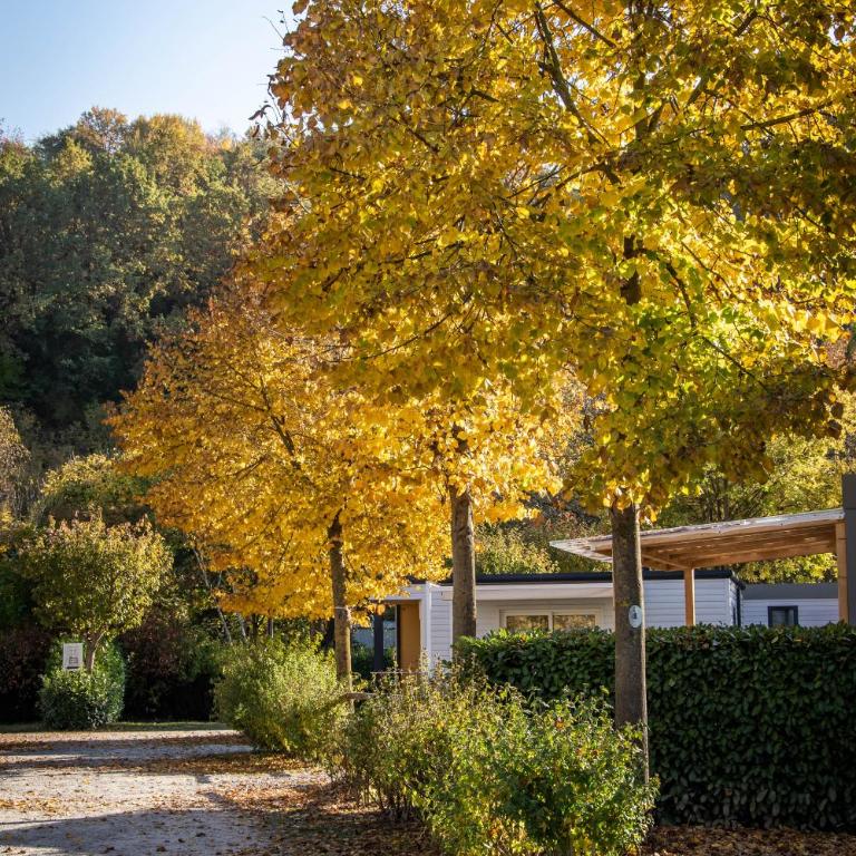 Albavillage Rooms & Camping - Casa Mobile - 3