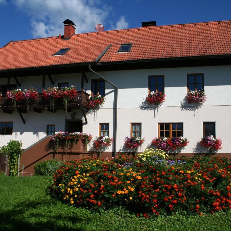 Bauerborchardt - Urlaub am Bauernhof bei Familie Borchardt - Doppelzimmer mit Balkon und Gemeinschaftsbad - 1