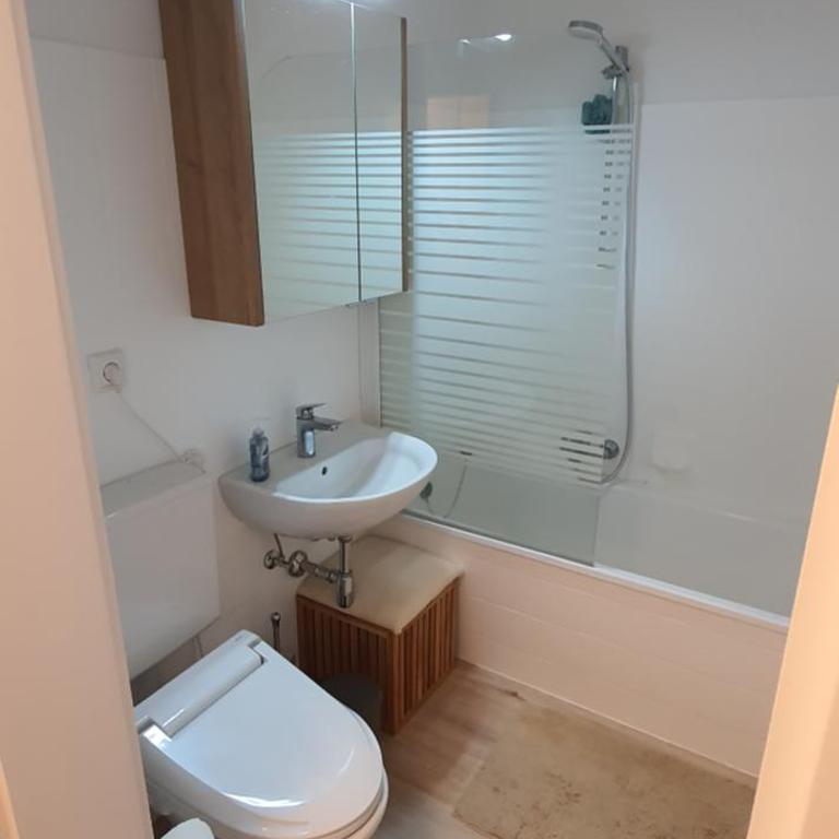 Alpenappartements Domicil include JOKER CARD - Estudio Deluxe - 11