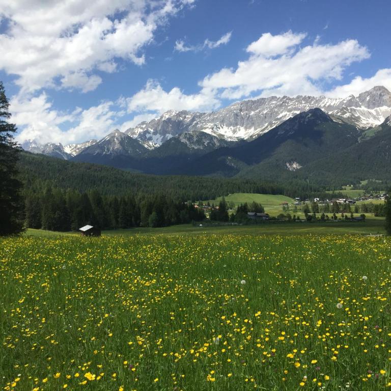 Zottlhof- dein Urlaubszauber auf 1.200m - Haus mit 1 Schlafzimmer - 64