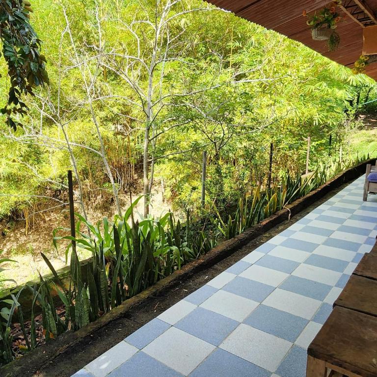 Hostel Finca La Gordita - Bungalow (9 adultos) - 15