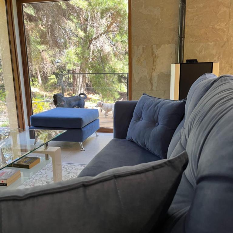 Complejo EL PAÑIL - One-Bedroom House - 7