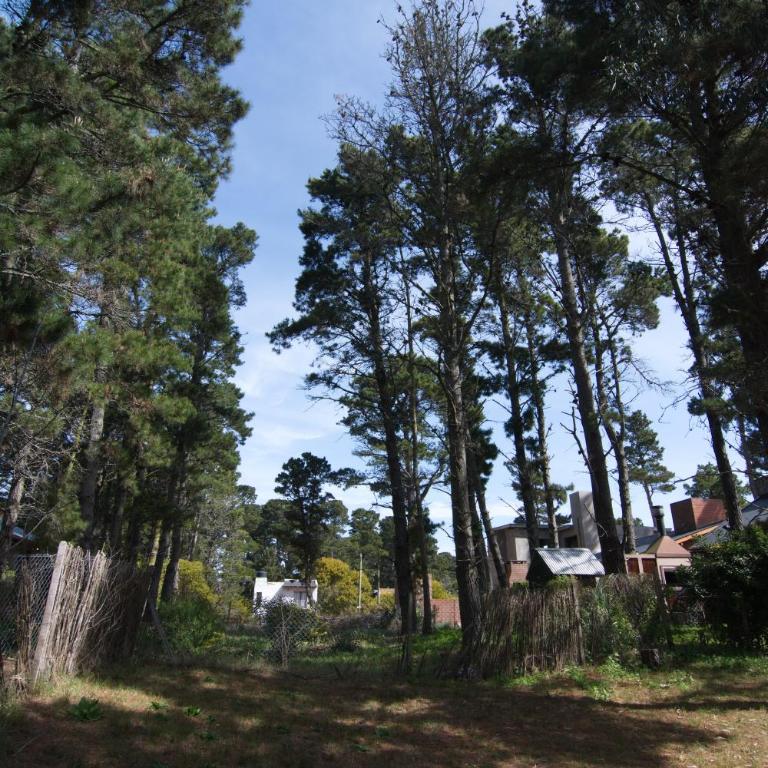 Mar Azulado - Casa de 2 dormitorios - 19