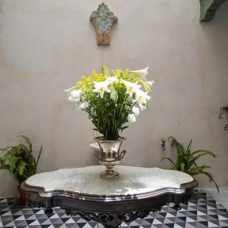 Casa Portus Gaditanus s XVIII Patio Andaluz - Apartamento - Planta baja - 15