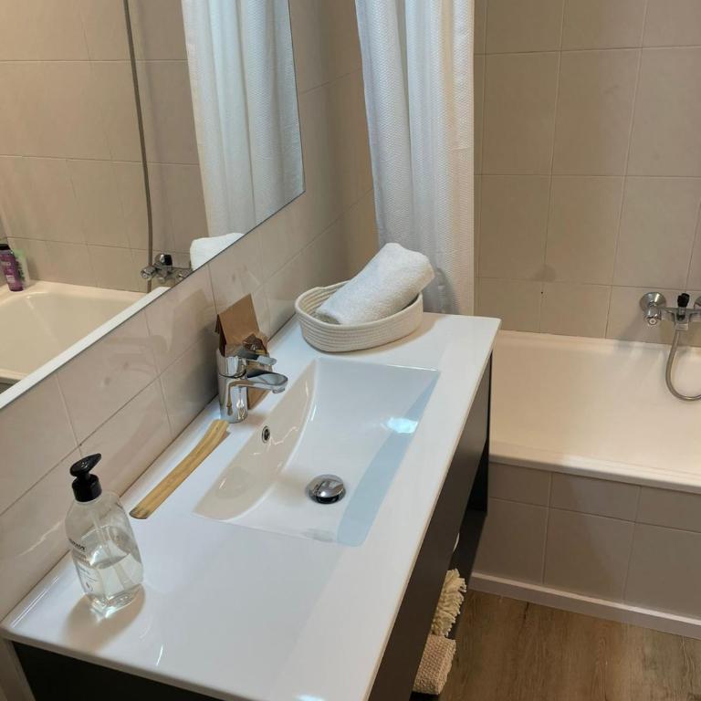 Renttarter Sans Espais - Apartment mit Blick auf die Berge - 15
