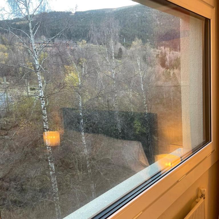 Renttarter Sans Espais - Apartment mit Blick auf die Berge - 8