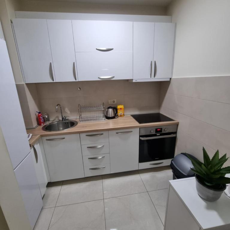 Riverside Apartment - Apartman sa 2 Spavaće Sobe - 7