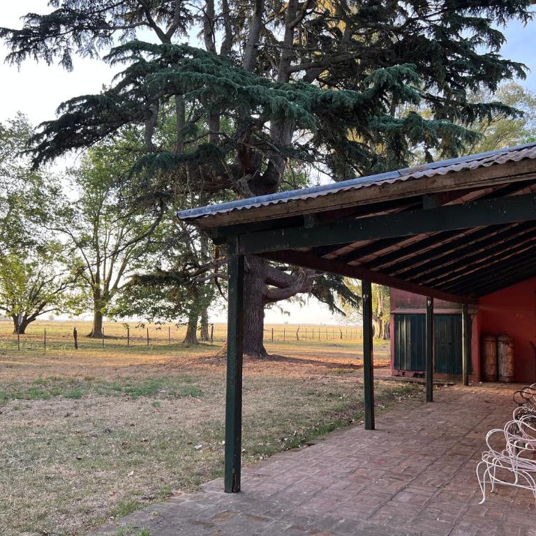 Casa de campo “Los Ombues” - Five-Bedroom House - 4