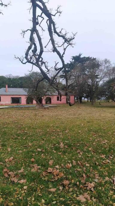 Casa de campo “Los Ombues” - Five-Bedroom House - 29