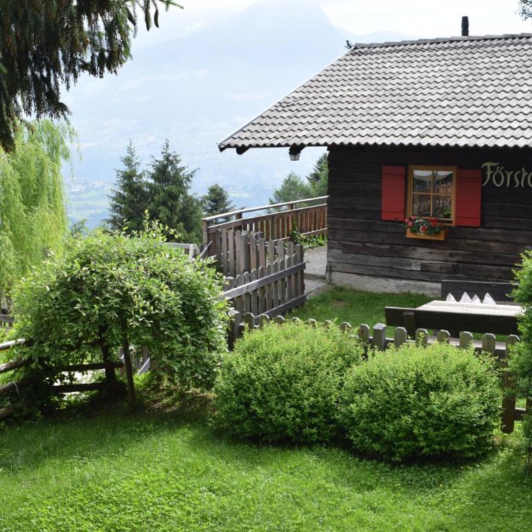 Brünnl's Försterhütte - Casa - 1