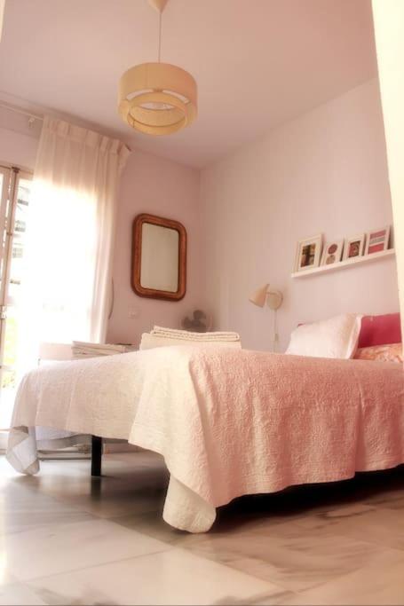 PENTHOUSE WITH LARGE TERRACE IN CENTER OF CÁDIZ - Apartamento de 2 dormitorios - 18