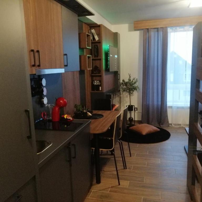MIR i LIRA apartmani Kopaonik - Deluxe Studio - 32