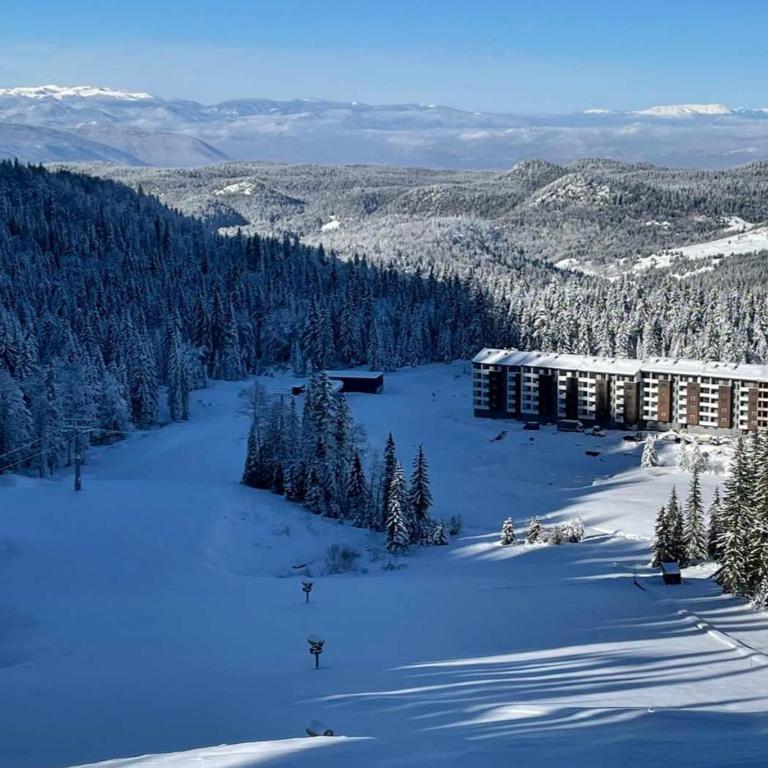 DjK L5A16 apartman - Jahorina - One-Bedroom Apartment - 21