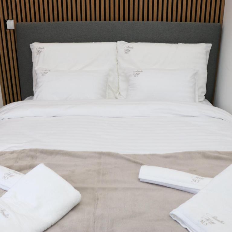Nivalis Hill 21 - One-Bedroom Apartment - 9