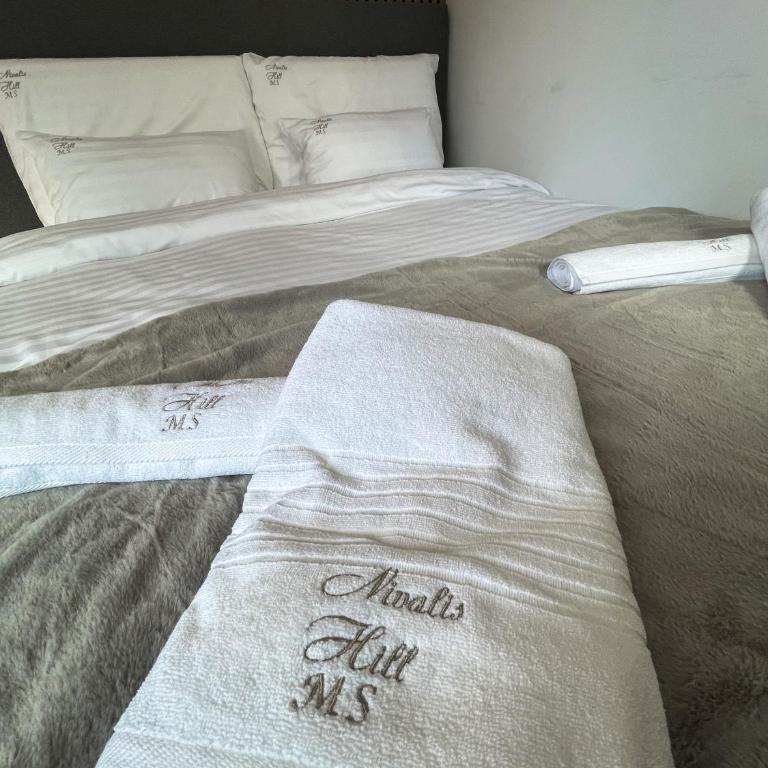 Nivalis Hill 21 - One-Bedroom Apartment - 15