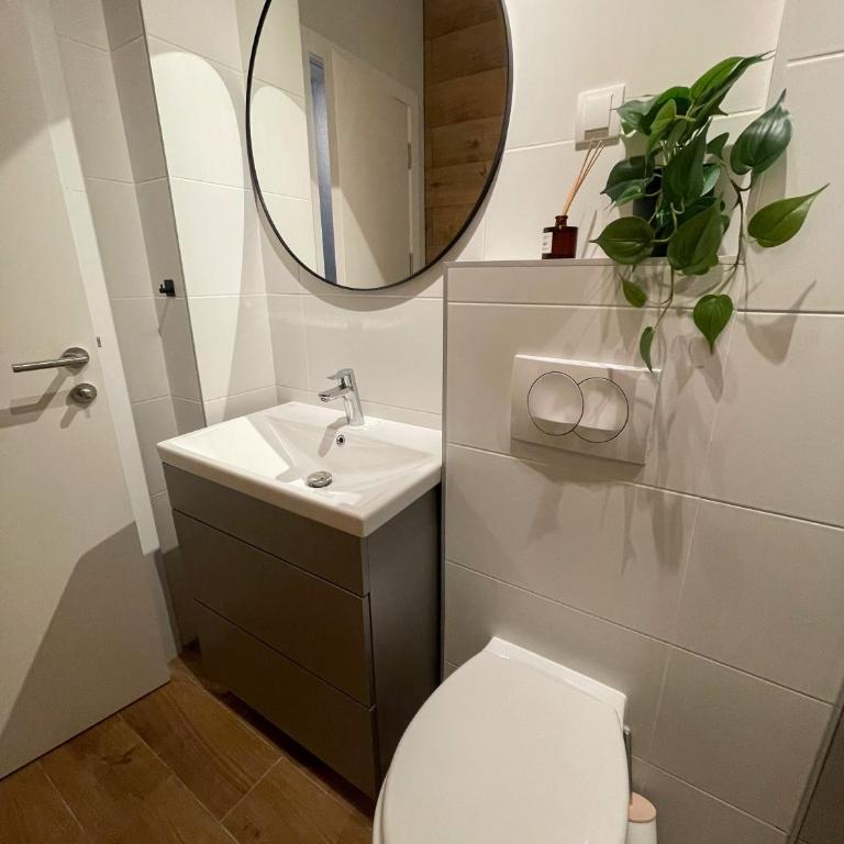 Nivalis Hill 21 - One-Bedroom Apartment - 24