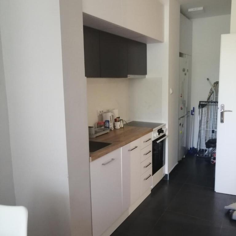 Green 1 - Deluks Dvokrevetni Studio sa Bračnim Krevetom - 16