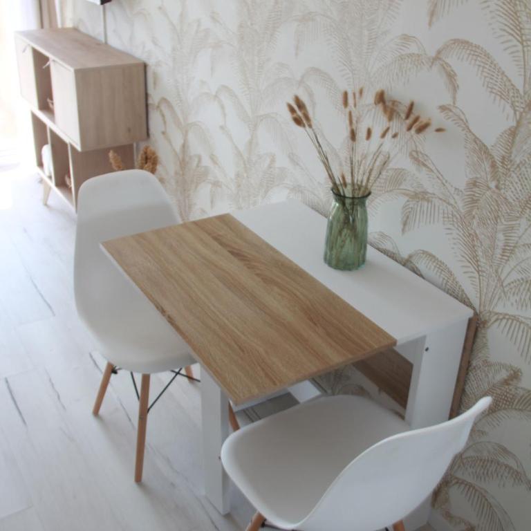 LES PALMIERS - Appartement avec piscine proche plages - Wifi et Clim - Studio Apartment - 24