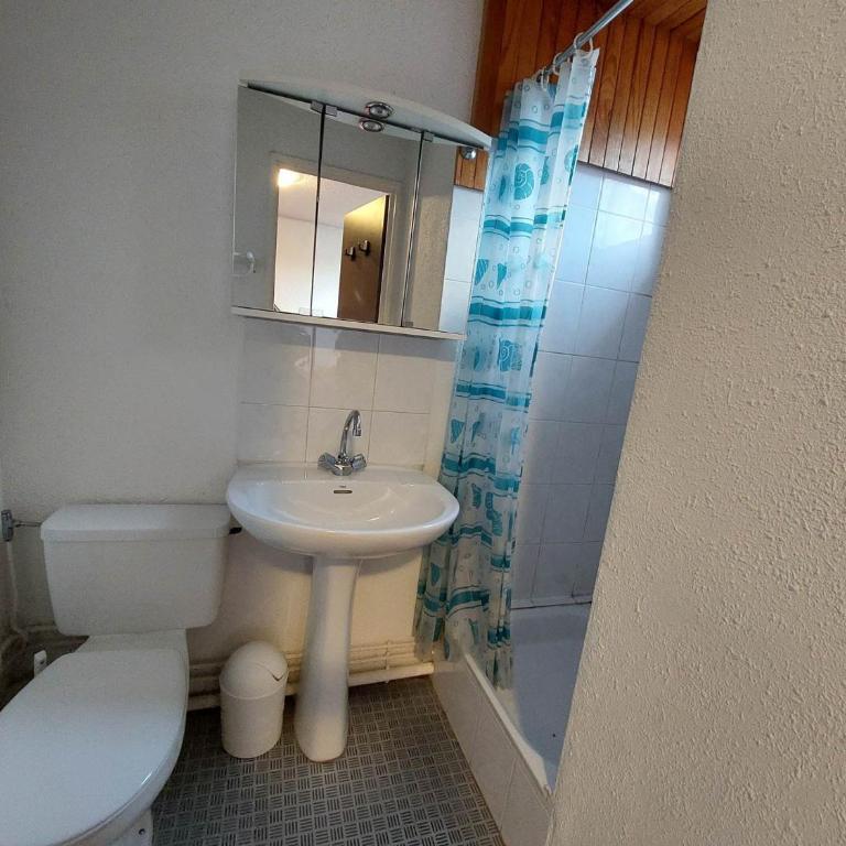 Studette cosy pour 2 au pied des pistes - FR-1-516-91 - Studio - 2