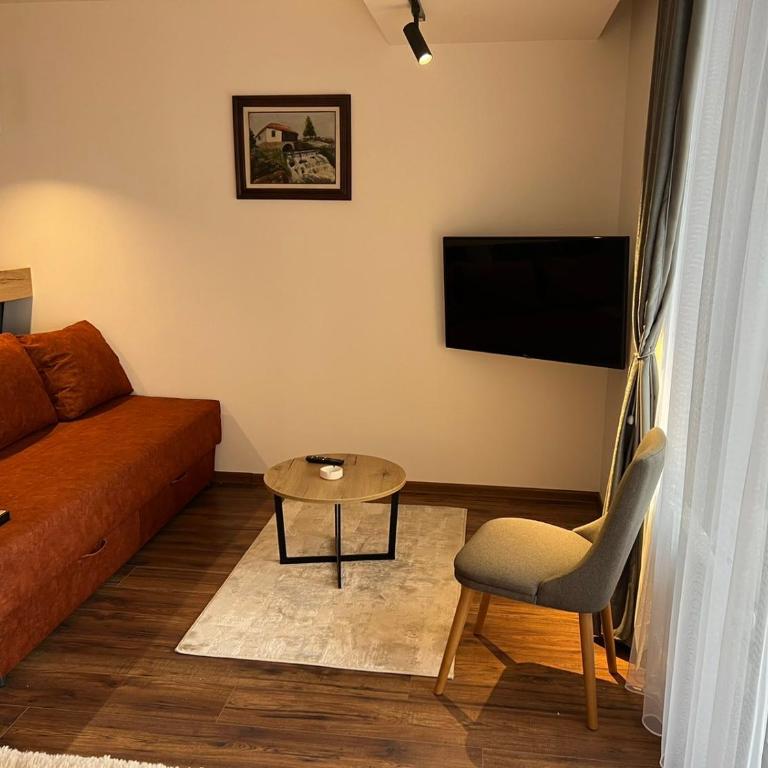 Apartmani TIM & SPA CENTAR - Studio with Terrace - 8