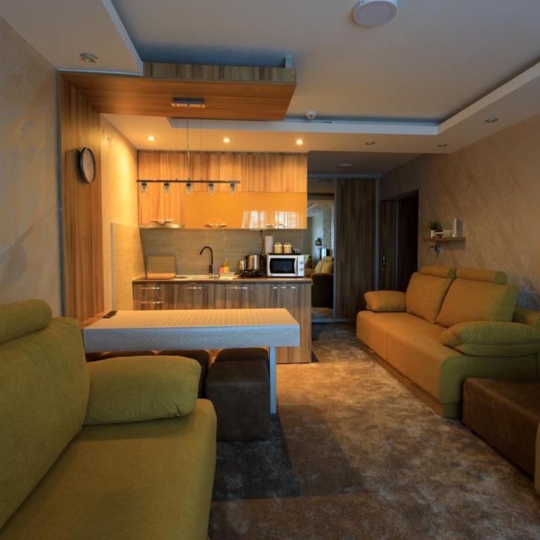 Apartments Andrejic - Studio with Balcony - 4
