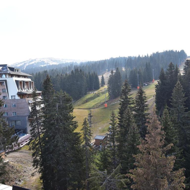 Woodside Kopaonik Residences - Apartman Tipa "Suite" sa 1 Spavaćom Sobom - 9