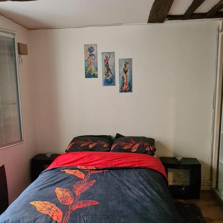 Cozy apt Heart of Paris, 3 mins Louvre - One-Bedroom Apartment - 4
