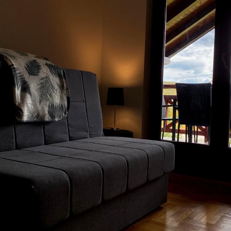 Ski House Tornik Zlatibor - Vacation Home - 9