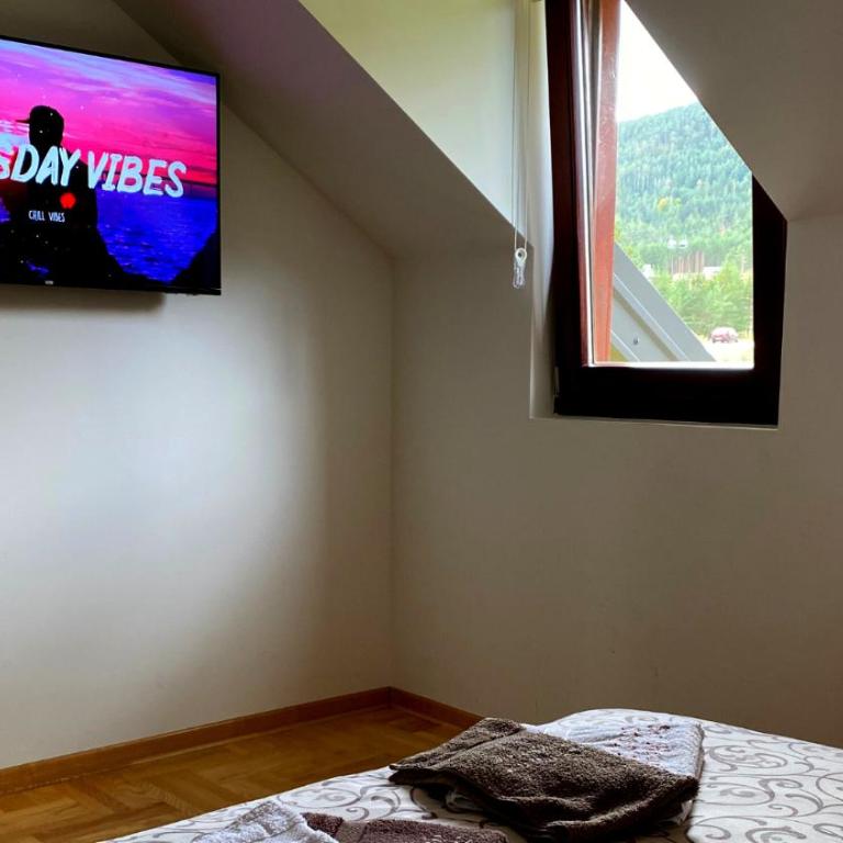Ski House Tornik Zlatibor - Vacation Home - 8