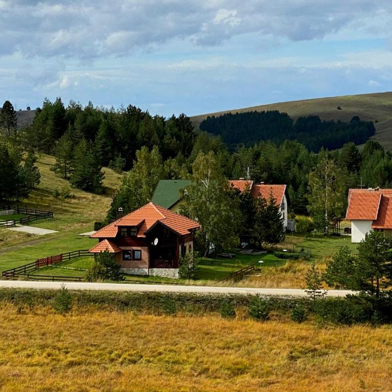 Ski House Tornik Zlatibor - Vacation Home - 20